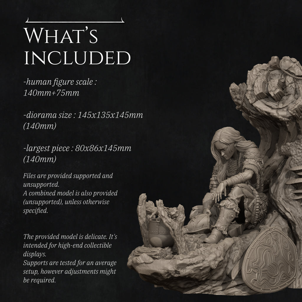 What's included