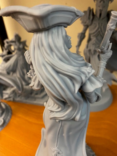 Anne, the Pirate Captain | 32mm–210mm | 3D Printed Figure | Art Piece | Nerikson | Nerdy Creations