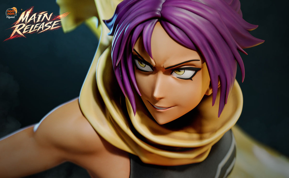 Yoruichi Shihoin resin figure