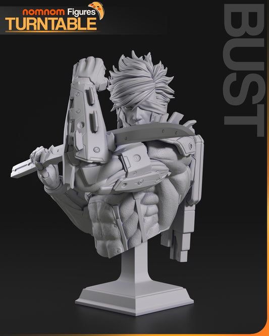 Raiden resin figure