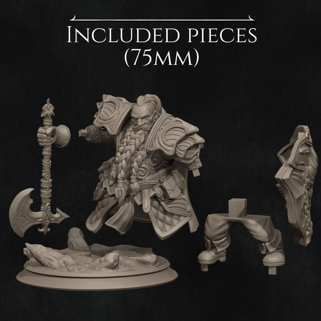 Borin, the Dwarf Paladin | 32mm–140mm | 3D Printed Figure | Art Piece | Nerikson | Nerdy Creations