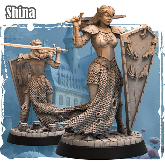 Shina resin figure
