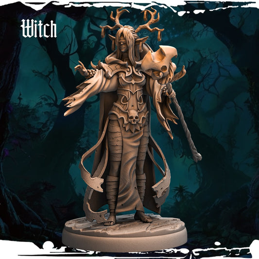 Dark Elf Witches (12 Poses) resin figure