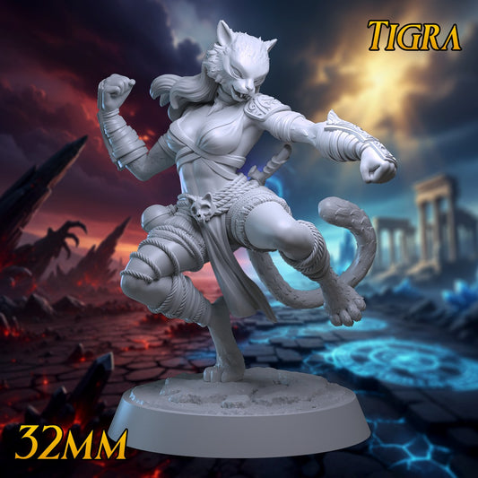 Tigra (Monk Tabaxi Brawler - Tabaxi Monk - Brawler Monk Tabaxi Monk) resin figure