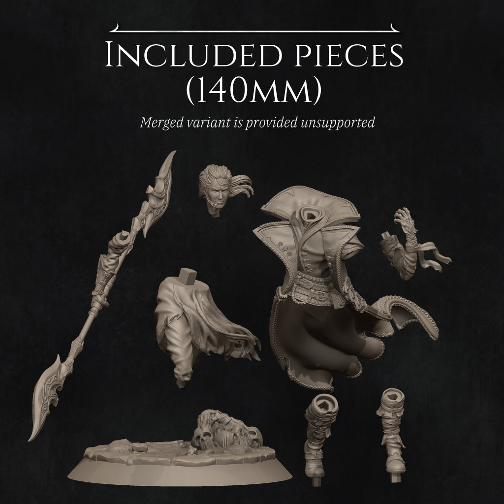 Vaelin, the Vampire Elf Warlock | 32mm–140mm | 3D Printed Figure | Art Piece | Nerikson | Nerdy Creations