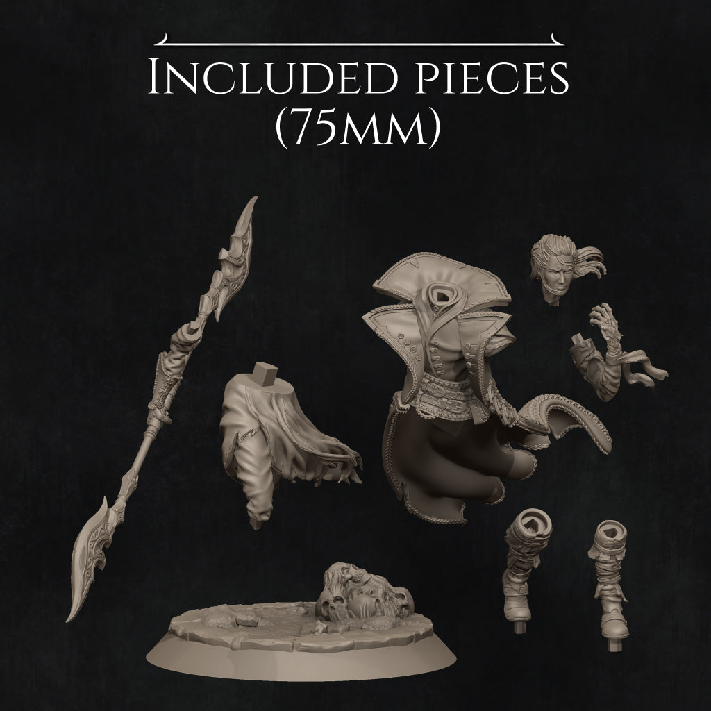 Vaelin, the Vampire Elf Warlock | 32mm–140mm | 3D Printed Figure | Art Piece | Nerikson | Nerdy Creations