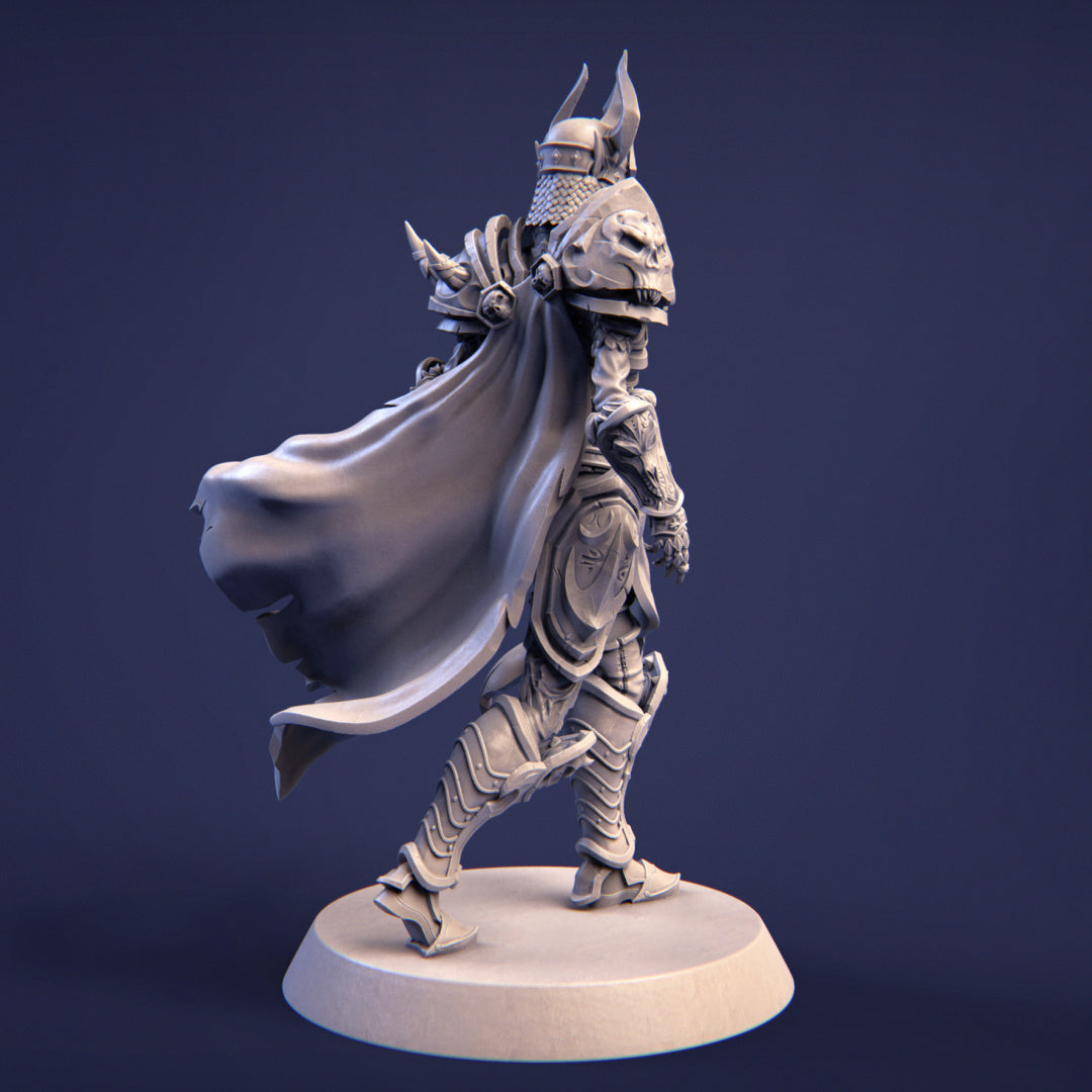 Ashinna, the Elven Revenant | 32mm–225mm | 3D Printed Figure | Art Piece | Nerikson | Nerdy Creations